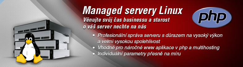 MANAGED SERVERY