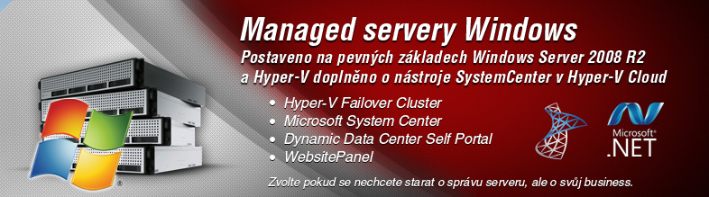 MANAGED WINDOWS SERVERY